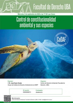 Control de constitucionalidad ambiental y sus especies