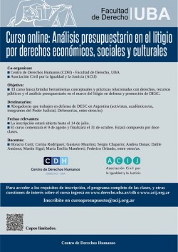 Curso on line: Análisis presupuestario en el litigio por derechos económicos, sociales y culturales