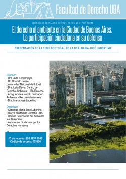 El derecho al ambiente en la Ciudad de Buenos Aires. La participación ciudadana en su defensa