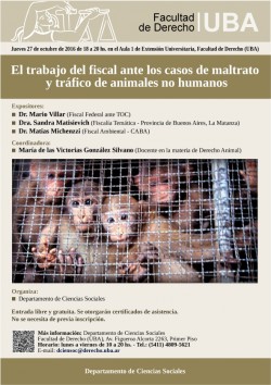 El trabajo del fiscal ante los casos de maltrato y tráfico de animales no humanos