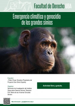 Emergencia climática y genocidio de los grandes simios