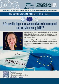 ¿Es posible llegar a un Acuerdo Marco Interregional entre el Mercosur y la UE?