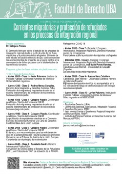 III Seminario de posgrado on line. Corrientes migratorias y protecciÃ³n de refugiados en los procesos de integraciÃ³n regional
