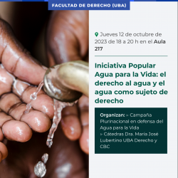 Iniciativa Popular Agua para la Vida: el derecho al agua y el agua como sujeto de derecho