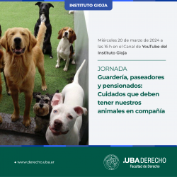 Jornada Guardería, paseadores y pensionados: Cuidados que deben tener nuestros animales en compañía