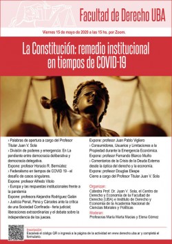 La Constitución: remedio institucional en tiempos de COVID-19