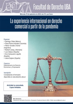La experiencia internacional en derecho comercial a partir de la pandemia
