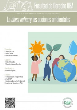 La <i>class action</i> y las acciones ambientales