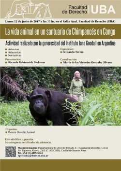 La vida animal en un santuario de Chimpances en Congo