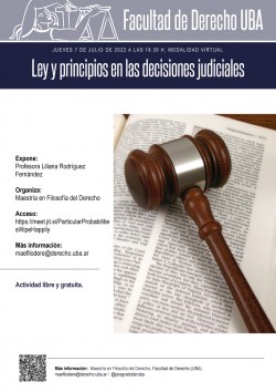 Ley y principios en las decisiones judiciales