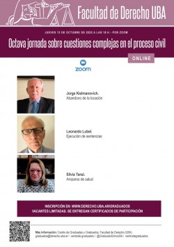 Octava jornada sobre cuestiones complejas en el proceso civil