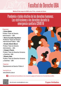 Pandemia y tutela efectiva de los derechos humanos. Las restricciones a los derechos durante la emergencia sanitaria COVID 19