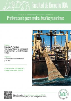 Problemas en la pesca marina: desafíos y soluciones