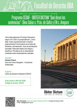 Programa CEDAF - OBITER DICTUM "Qué dicen las sentencias": Dino Salas c. Pcia. de Salta y EN s. Amparo