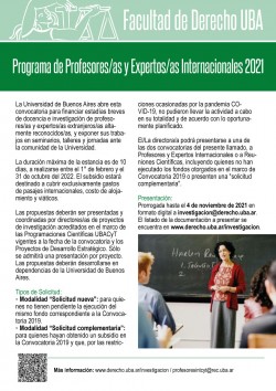 Programa de Profesores/as y Expertos/as Internacionales 2021