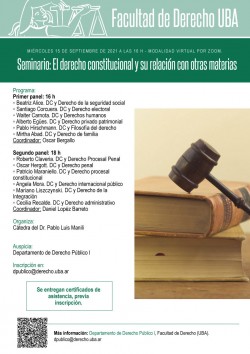 Seminario: El derecho constitucional y su relación con otras materias