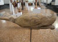 Muestra 