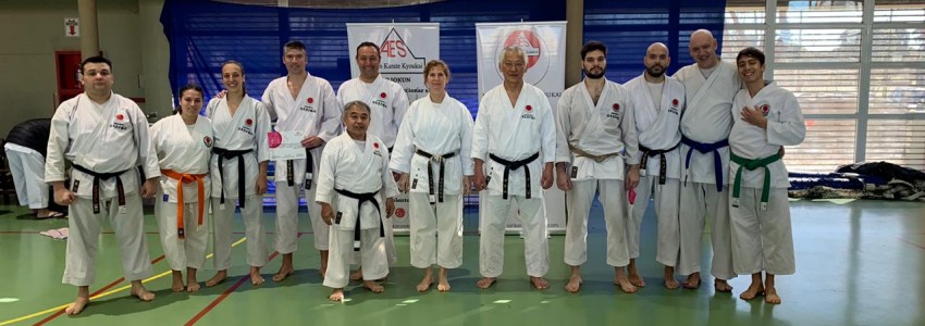 Curso anual de Karate