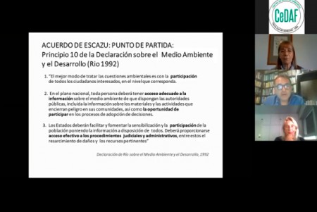 Acuerdo de Escazú. Una mirada desde la sociedad civil: futuro de las regulaciones de bosques y humedales