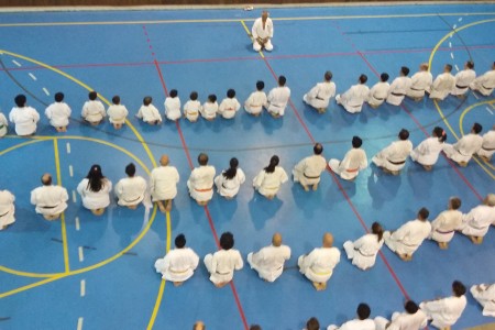 Clase de fin de año de Karate