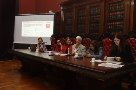 Derecho a la participacin igualitaria e inclusiva de las mujeres en los sistemas de toma de decisin. Foco en la justicia