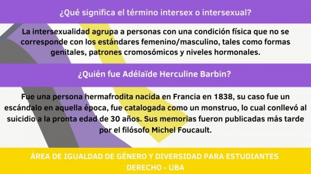 Día de la solidaridad intersexual