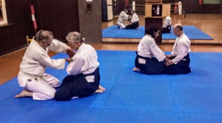 El Aikido durante la Cuarentena COVID 19, en Ciudad de Buenos Aires