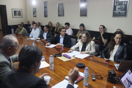 El delito de evasin tributaria como delito penal especial, la regularizacin tributaria y los extraneus