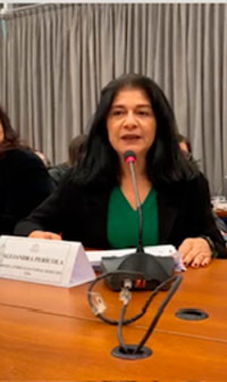 El Observatorio de Derecho Electoral de la Facultad de Derecho de la Universidad de Buenos Aires particip de la mesa debate sobre la necesidad de aprobar un marco legal para la Transicin Presidencial