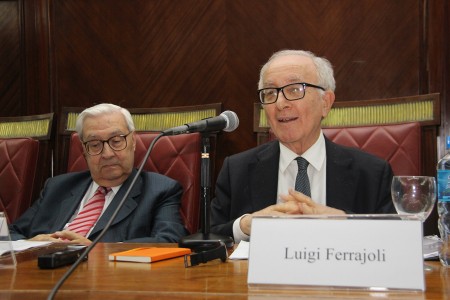 El paradigma garantista