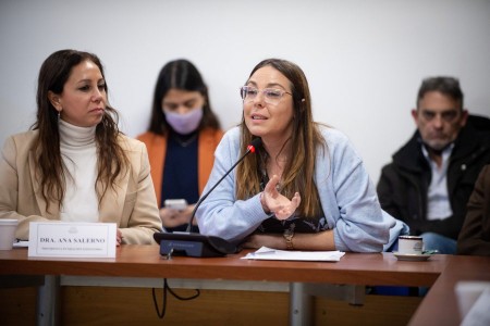 Hacia una Agenda Legislativa Ambiental: presentación del proyecto sobre Justicia Ambiental