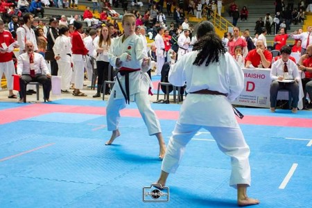 Torneo Panamericano de Karate