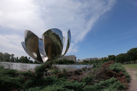 Una estudiante de la Facultad fue seleccionada para realizar el programa virtual "Formacin de profesorado de chino como lengua extranjera 2021" de la Universidad de Estudios Internacionales de Shanghai (SISU)