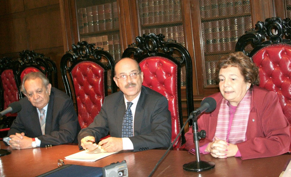 Salvador D. Bergel, Carlos Mara Romeo Casabona y Stella Maris Martnez