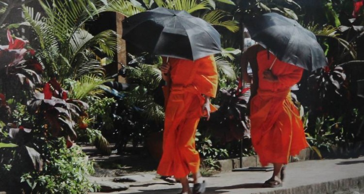 Muestra de Fotografas del Dr. Julio Virgolini