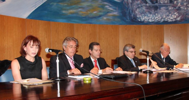Fernanda A. Gmez, Daniel R. Vtolo, Hctor O. Chomer, Marcelo Barreiro y Ariel Dasso