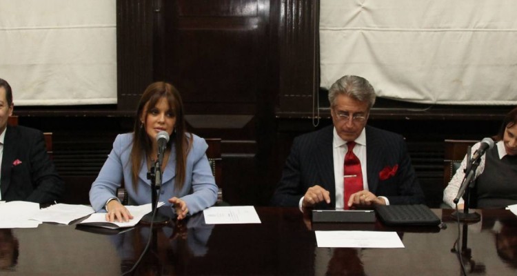 Hctor O. Chomer, Julia Villanueva, Daniel R. Vtolo y Fernanda Gmez