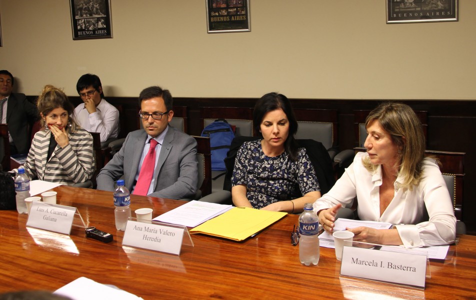 Jnia Lopes Saldanha, Luis A. Cucarella Galiana, Ana Mara Valero Heredia y Marcela I. Basterra