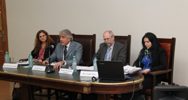 Silvia E. Coronello, Daniel R. Vtolo, Gustavo Naveira de Casanova y Anah F. Prez