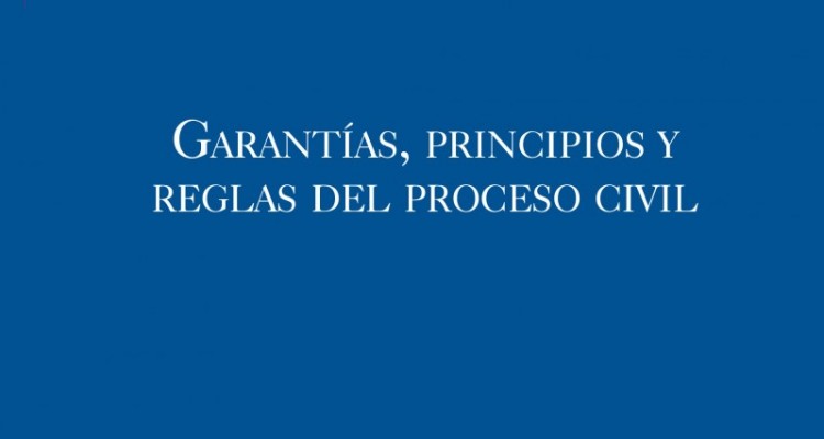 Garantas, principios y reglas del Proceso Civil