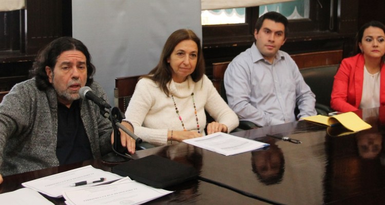 Ricardo Rabinovich-Berkman, Andrea Gastrn, Juan Jos Fuentes Orozco y Jessica Victoria Snchez Poma