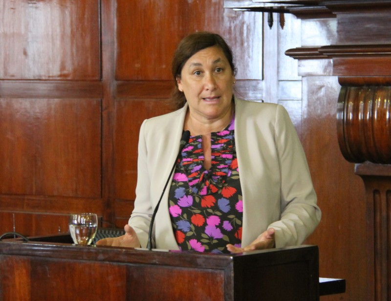 Silvina González Napolitano