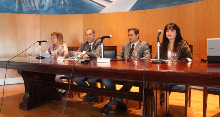Karin E. Gbel, Jorge Alejandro Amaya, Pablo Luis Manili y Silvana O. Pulice