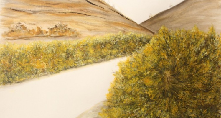 Muestras de GRUPO G y la Sociedad Argentina de Artistas Plsticos Premio Leopoldo Presas de Pintura.