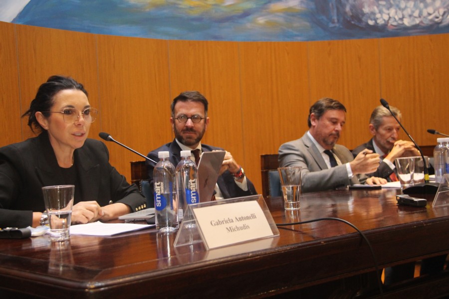 Gabriela Antonelli Michudis, Pablo Frick, Javier Lorente y Hctor Osvaldo Chmer