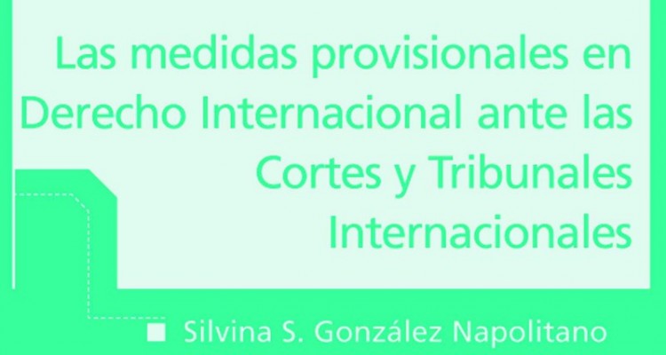 Las medidas provisionales en Derecho Internacional ante las Cortes y Tribunales Internacionales
