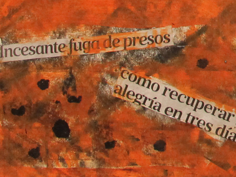 La Voz Ciudadana