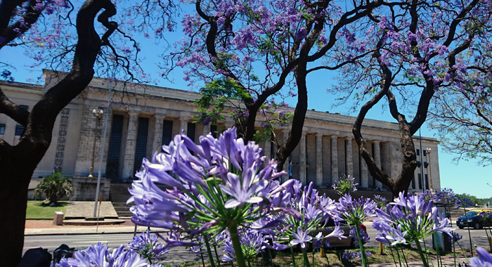 Facultad de Derecho