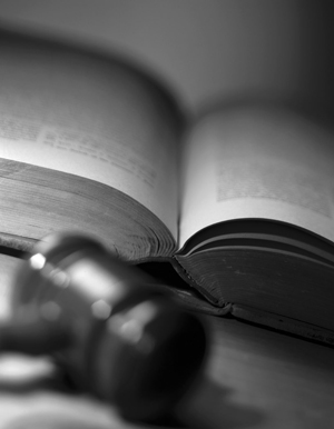 Día INtrnacional del Libro