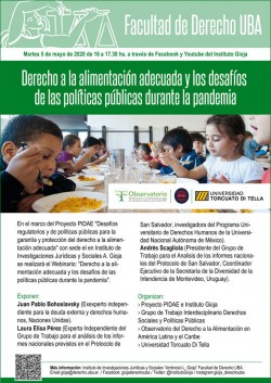 Derecho a la alimentación adecuada y los desafíos de las políticas públicas durante la pandemia